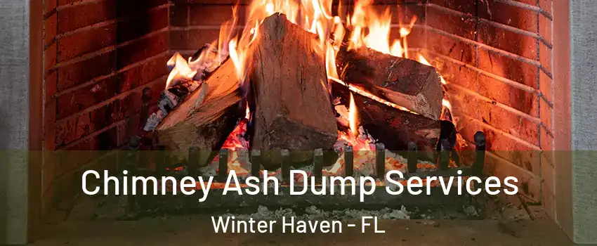  Chimney Ash Dump Services Winter Haven - FL