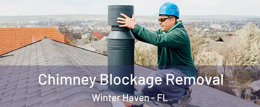  Chimney Blockage Removal Winter Haven - FL