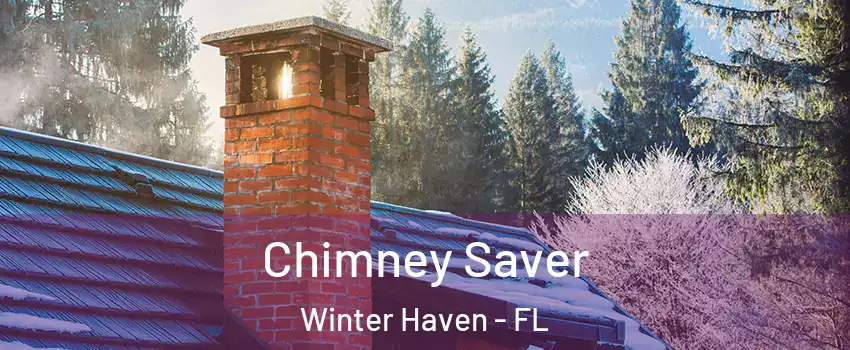  Chimney Saver Winter Haven - FL