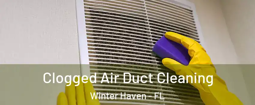  Clogged Air Duct Cleaning Winter Haven - FL