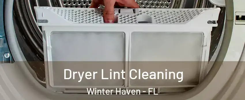  Dryer Lint Cleaning Winter Haven - FL
