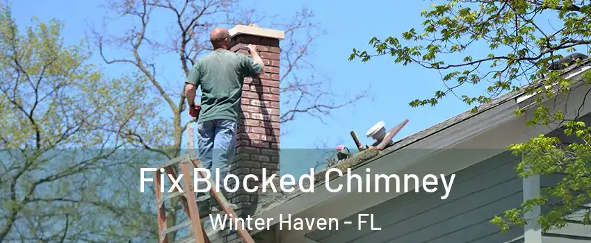  Fix Blocked Chimney Winter Haven - FL