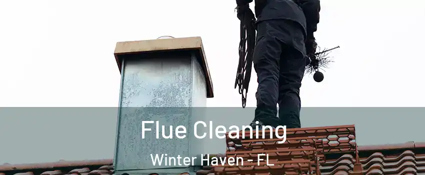  Flue Cleaning Winter Haven - FL