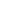 Professional Chimney Flue Installation in Winter Haven, Florida