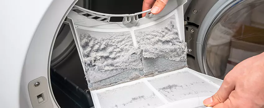 Best Dryer Lint Removal Company in Winter Haven, Florida