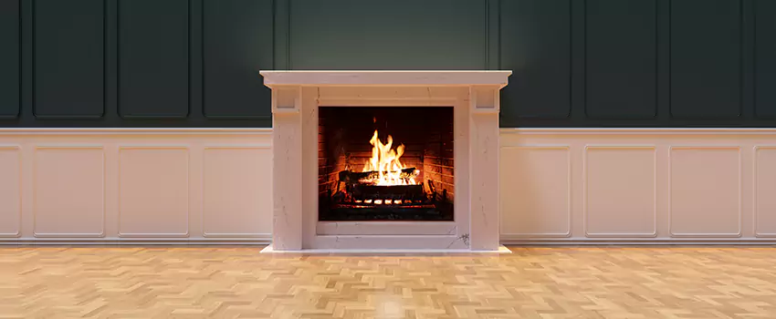 Napoleon Electric Fireplaces Inspection Service in Winter Haven, Florida