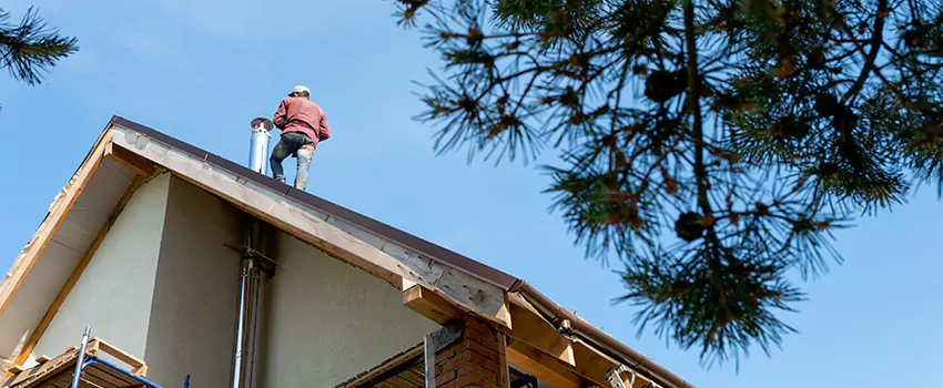 Birds Removal Contractors from Chimney in Winter Haven, FL