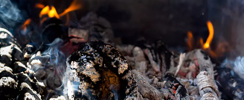 Creosote Removal Experts in Winter Haven, FL