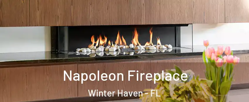  Napoleon Fireplace Winter Haven - FL