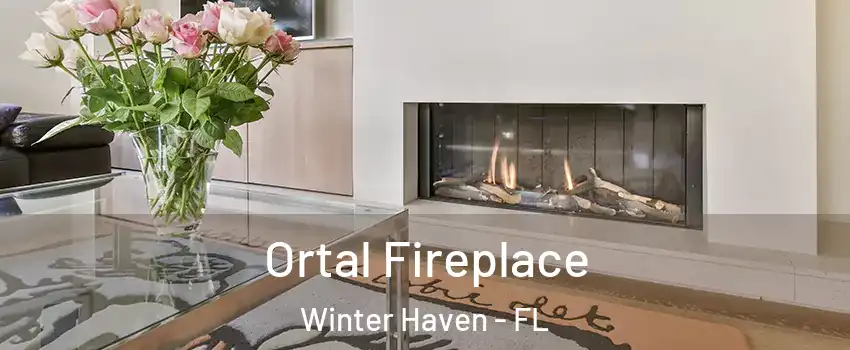 Ortal Fireplace Winter Haven - FL